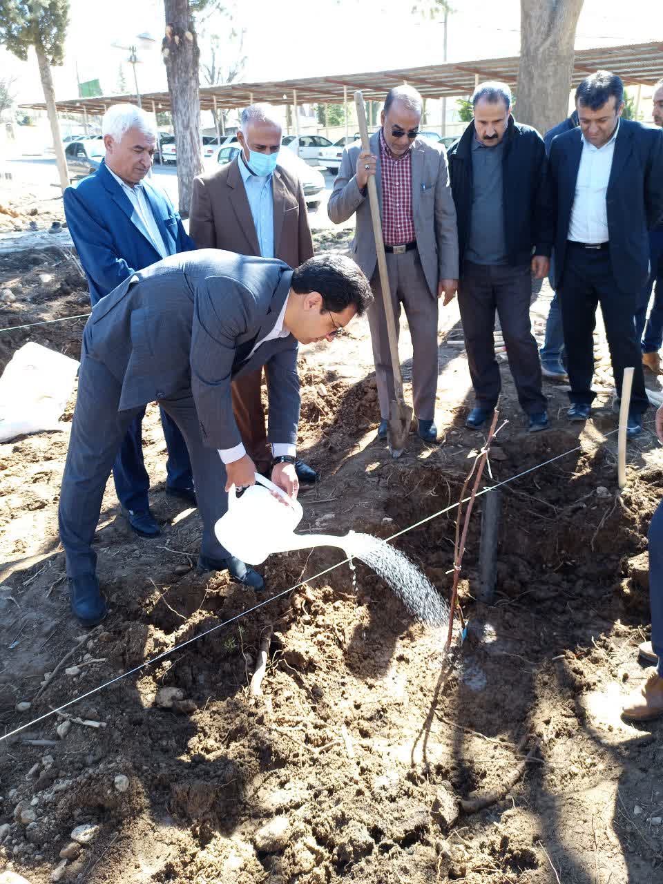 گرامیداشت روز درختکاری در مرکز رشد مشترک مشترک کشاورزی و منابع طبیعی