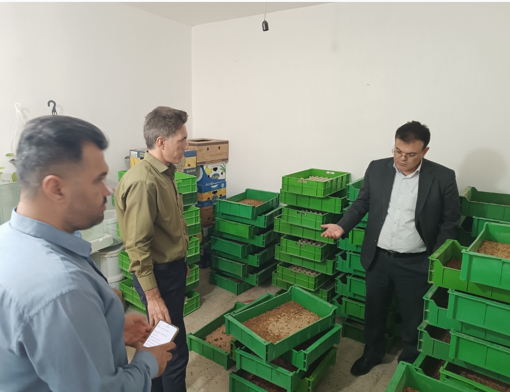 بازدید مدیر مرکز رشد از کارگاه تولیدی شرکت هیوا خدمات بهارستان